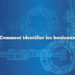 Comment identifier les bouleaux