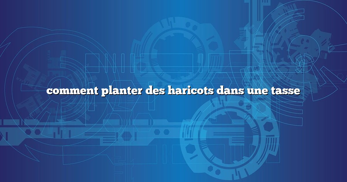 comment planter des haricots dans une tasse