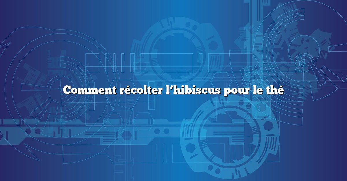 Comment récolter l’hibiscus pour le thé