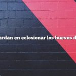 ¿Cuánto tardan en eclosionar los huevos de gallina?