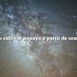 Cómo cultivar papaya a partir de semillas