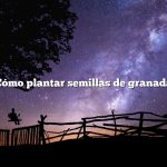 Cómo plantar semillas de granada