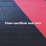 Cómo sacrificar una vaca