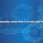 Domanda: come fare l’uvetta dall’uva