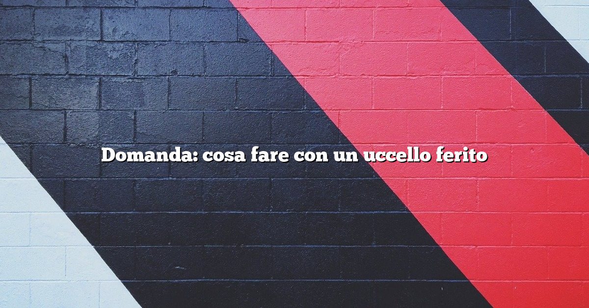Domanda: cosa fare con un uccello ferito