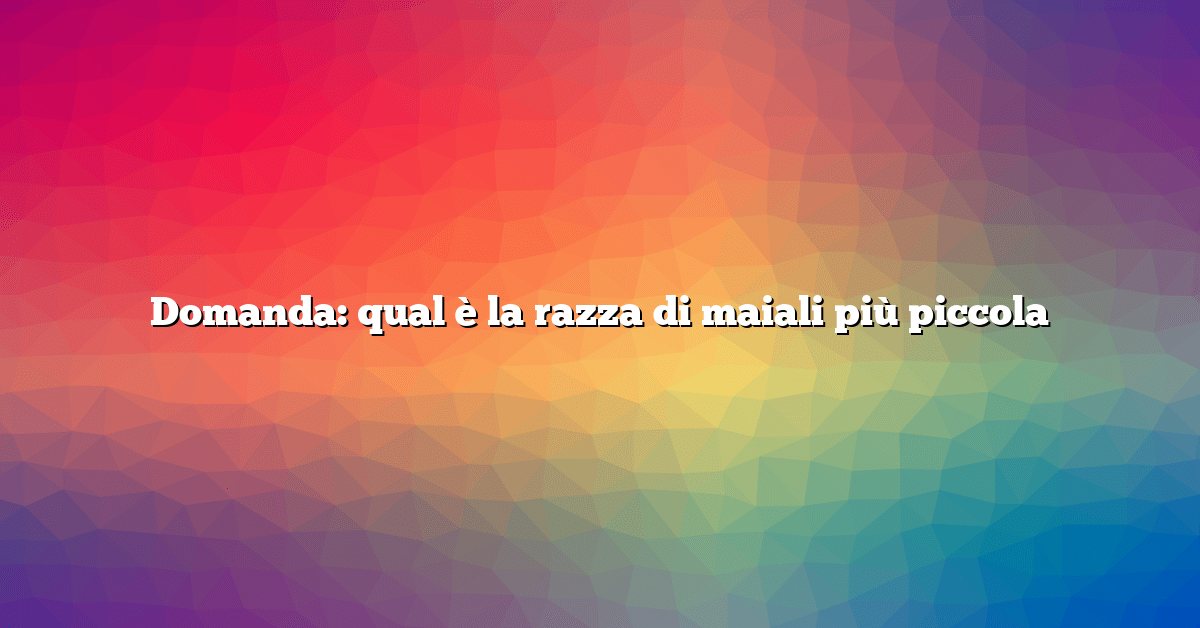Domanda: qual è la razza di maiali più piccola