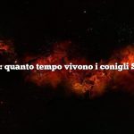 Domanda: quanto tempo vivono i conigli Silver Fox