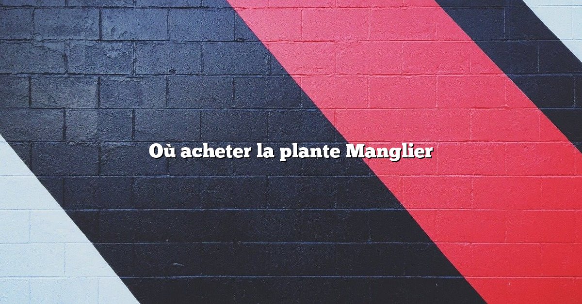 Où acheter la plante Manglier