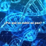 ¿Por qué no subió mi pan?