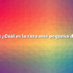 Pregunta: ¿Cuál es la raza más pequeña de cerdos?