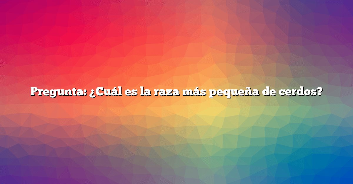 Pregunta: ¿Cuál es la raza más pequeña de cerdos?
