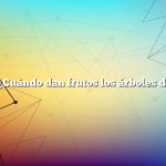 Pregunta: ¿Cuándo dan frutos los árboles de durazno?