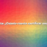 Pregunta: ¿Cuánto cuesta sacrificar una vaca?