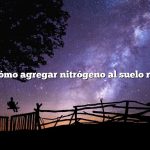 Pregunta: Cómo agregar nitrógeno al suelo rápidamente