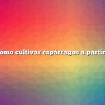 Pregunta: Cómo cultivar espárragos a partir de semillas