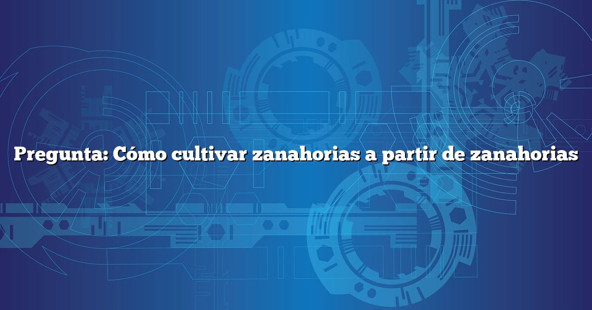 Pregunta: Cómo cultivar zanahorias a partir de zanahorias