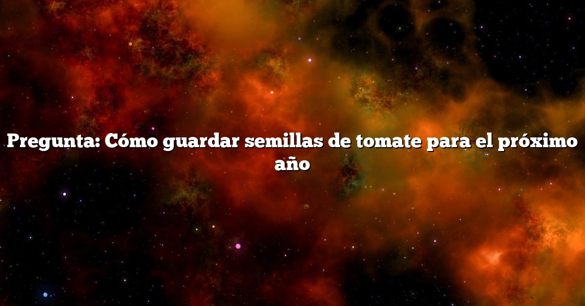 Pregunta: Cómo guardar semillas de tomate para el próximo año