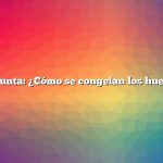 Pregunta: ¿Cómo se congelan los huevos?