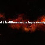 Qual è la differenza tra lepre e coniglio