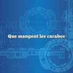 Que mangent les carabes