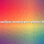 Quel est le meilleur moment pour planter des carottes