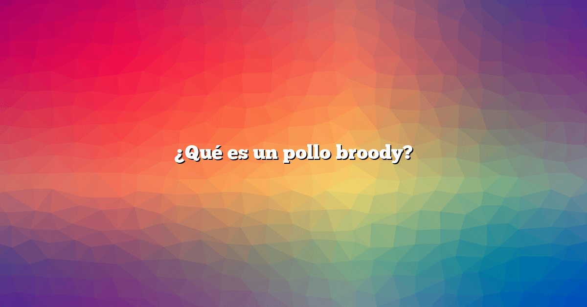 ¿Qué es un pollo broody?
