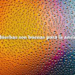¿Qué hierbas son buenas para la ansiedad?