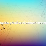 Respuesta rápida: ¿Cuál es el animal vivo más antiguo?