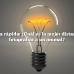 Respuesta rápida: ¿Cuál es la mejor distancia para fotografiar a un animal?