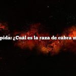 Respuesta rápida: ¿Cuál es la raza de cabra más pequeña?