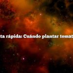 Respuesta rápida: Cuándo plantar tomates en Pa