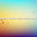 Respuesta rápida: cómo cuidar los lirios