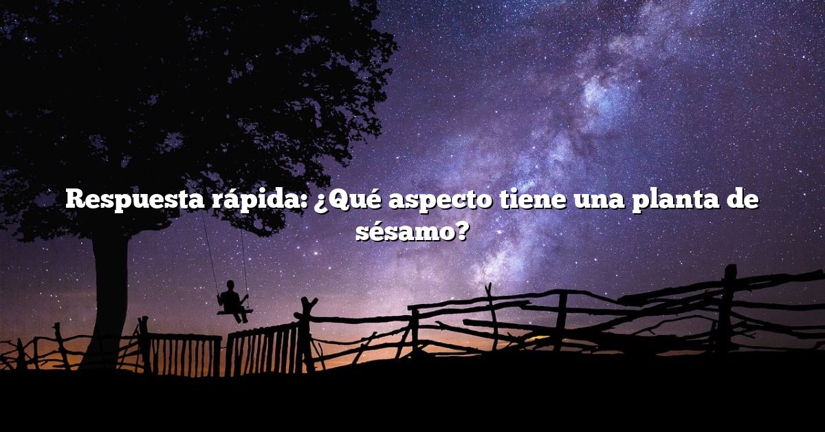 Respuesta rápida: ¿Qué aspecto tiene una planta de sésamo?
