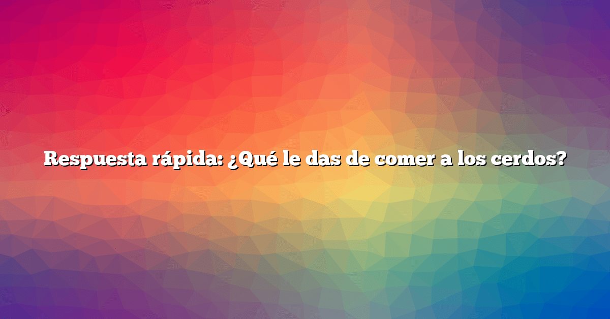 Respuesta rápida: ¿Qué le das de comer a los cerdos?