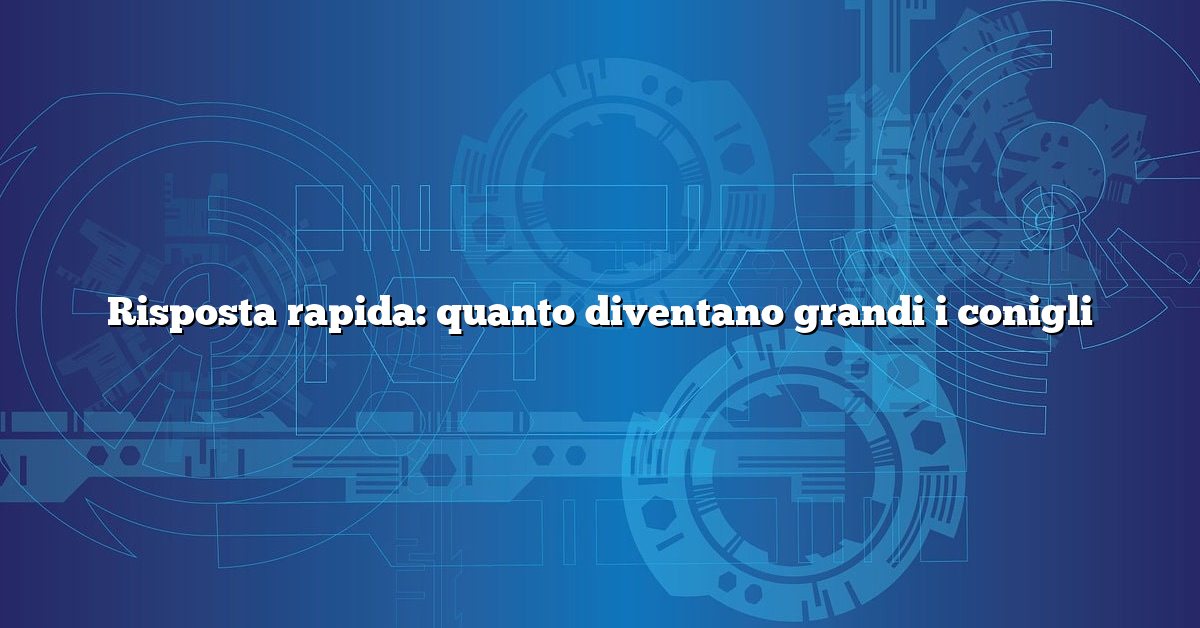 Risposta rapida: quanto diventano grandi i conigli