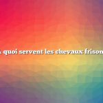 À quoi servent les chevaux frisons