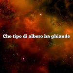 Che tipo di albero ha ghiande