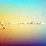 Come curare un uccello malato