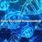 Come fare soldi Homesteading