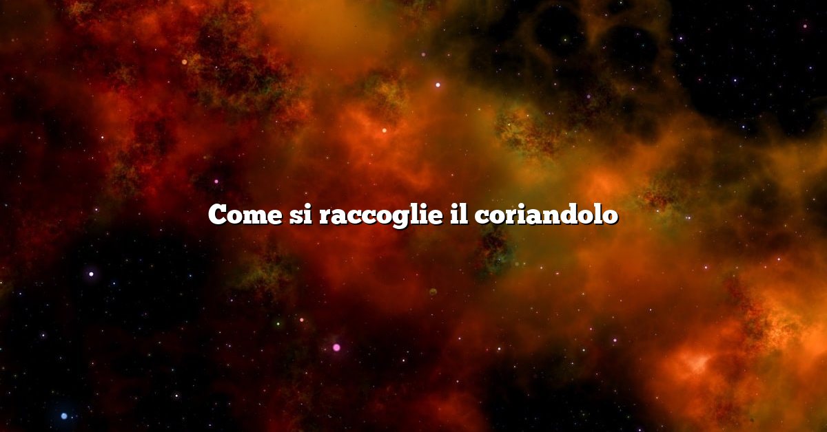 Come si raccoglie il coriandolo