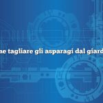 Come tagliare gli asparagi dal giardino