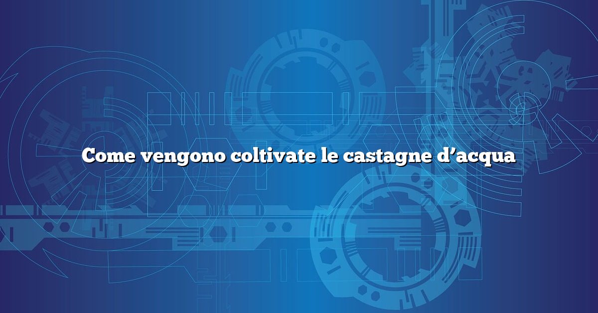 Come vengono coltivate le castagne d’acqua