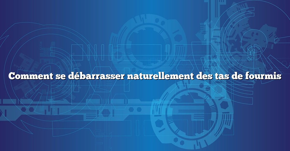 Comment se débarrasser naturellement des tas de fourmis