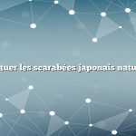 comment tuer les scarabées japonais naturellement