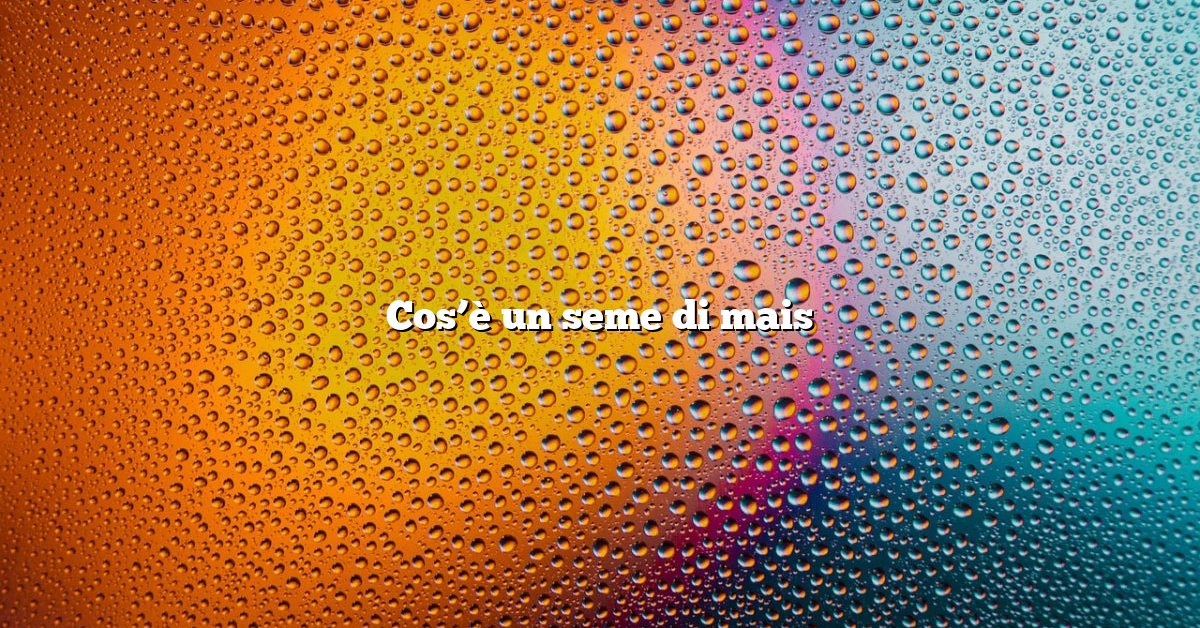 Cos’è un seme di mais
