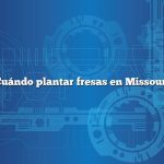 Cuándo plantar fresas en Missouri