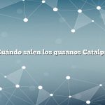 ¿Cuándo salen los gusanos Catalpa?