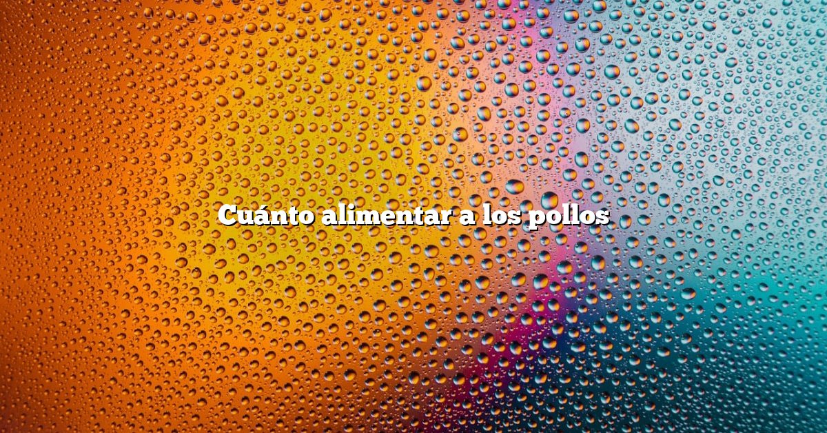 Cuánto alimentar a los pollos