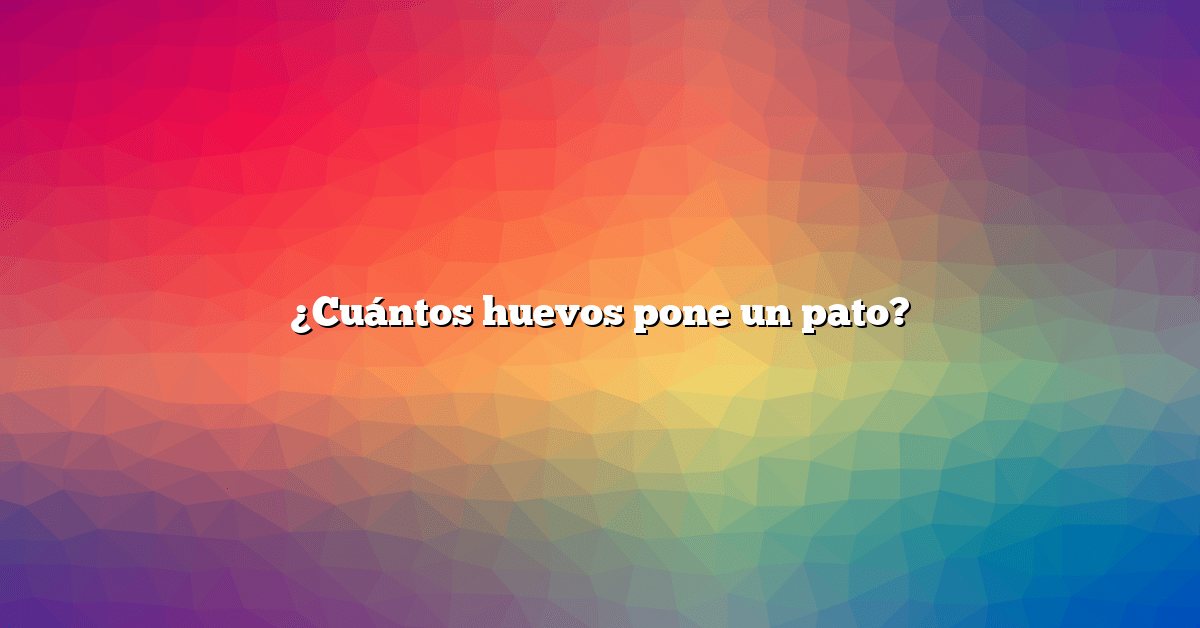 ¿Cuántos huevos pone un pato?