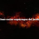 Cómo cortar espárragos del jardín